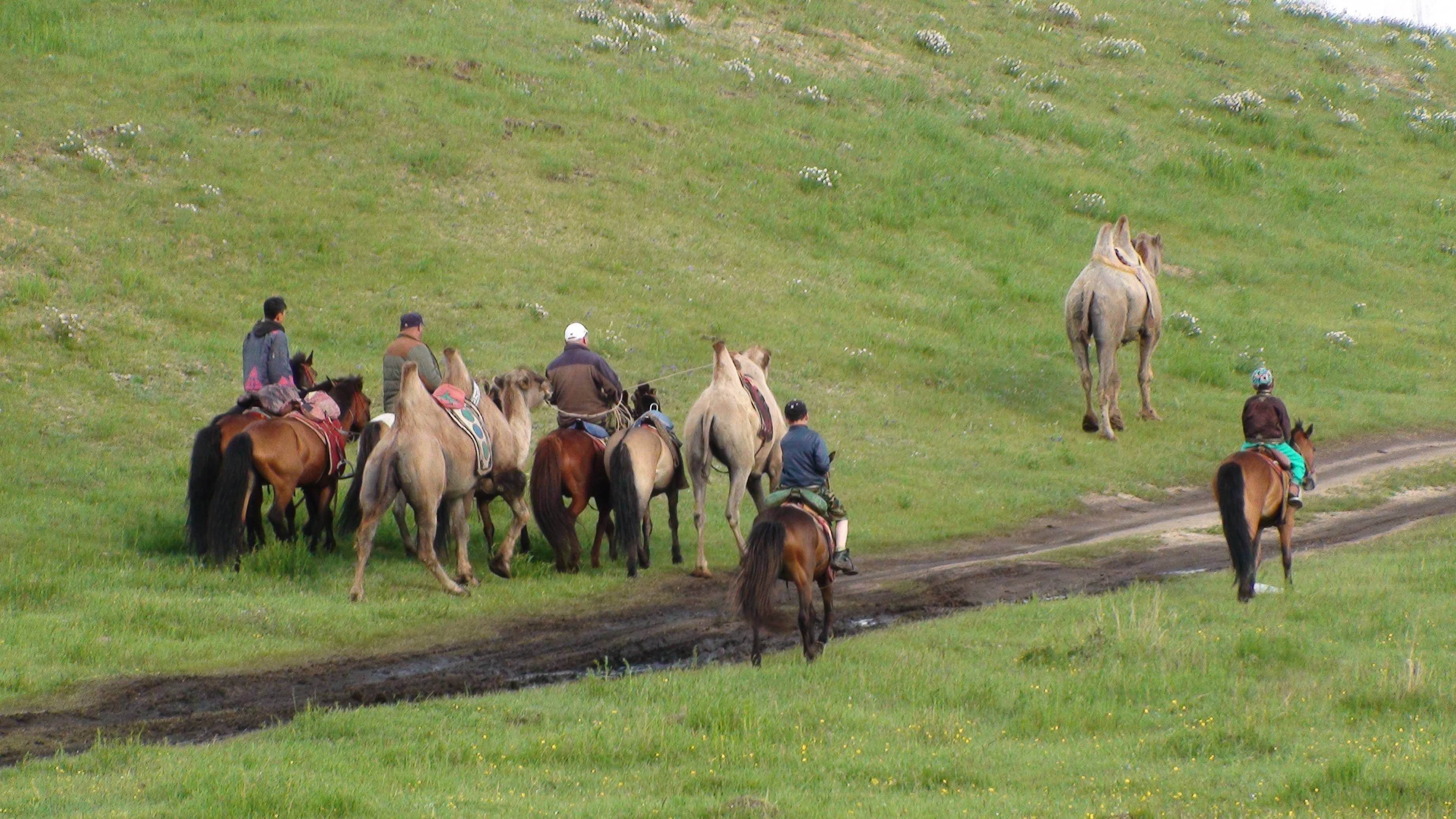 Mongolia/Mongolia_pony_camel_DSC00017.jpg