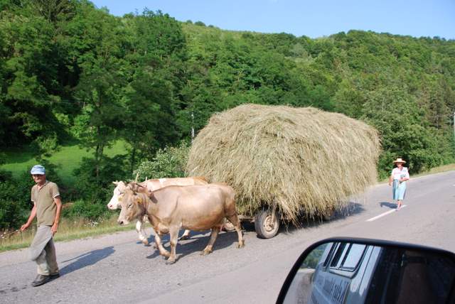 Romania/DSC_0413.JPG